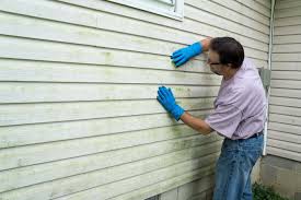 Best Vinyl Siding Installation  in Kalaeloa, HI